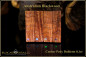 Preview: 1 pcs. Australian Blackwood - Coober Pedy Opal Doublet Pendant